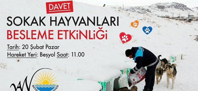 Van Büyükşehir Belediyesi Sokak Hayvanları İçin Beslenme Etkinliği Düzenliyor