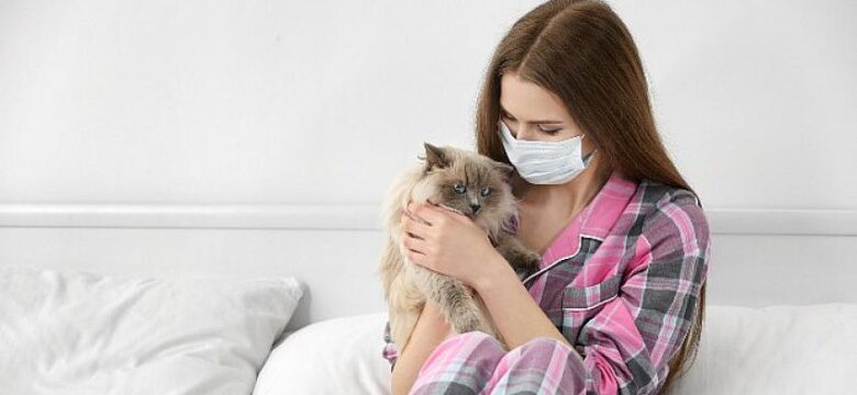 Alerjisi Olanlar İçin Kedili Bir Hayat Mümkün
