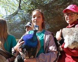Makedon öğrenciler Hayvanat  Bahçesi’nde eğitim alıyor