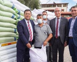 Milas Belediyesi’nden yüzde 50 Hibeli Buğday Tohumu Desteklemesi