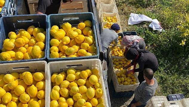 ŞOK Marketler deprem bölgesinde tarımı ve çiftçiyi destekliyor