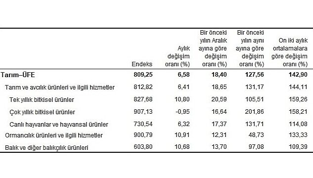 Tarım ürünleri üretici fiyat endeksi (Tarım-ÜFE) yıllık %127,56, aylık %6,58 arttı