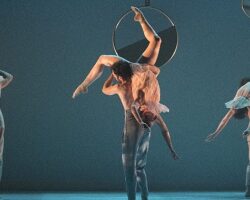 Bir Dansın Hikâyesi: La Mov Compania de Danza İstanbul'da Sahne Alıyor!