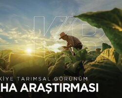 Tarımda Sürdürülebilirlik ve Finansmanın Rolü: KKB’nin 2023 Türkiye Tarımsal Görünüm Saha Araştırması Raporu Yayınlandı