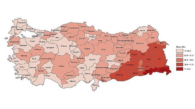 Tüik:  Yükseköğretim mezunlarının oranı 25 yaş ve üzeri nüfusta %24,6 oldu