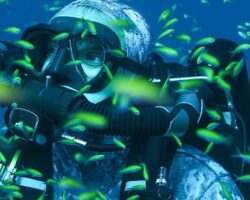 Okyanus Isınması Sonucu Yarısı Yok Olan Mercanların İyileşmesini Konu Alan ‘Muhteşem Resifler’ 30 Haziran Pazar 20.00’de National Geographic WILD Ekranlarında!