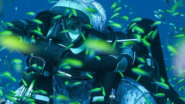 Okyanus Isınması Sonucu Yarısı Yok Olan Mercanların İyileşmesini Konu Alan ‘Muhteşem Resifler’ 30 Haziran Pazar 20.00’de National Geographic WILD Ekranlarında!