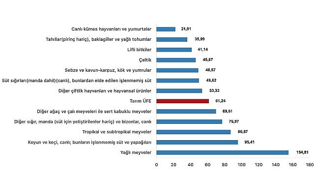 Tüik: Tarım ürünleri üretici fiyat endeksi (Tarım-ÜFE) yıllık %61,24 arttı, aylık %0,91 azaldı