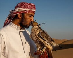 4 Bölümlük ‘Vahşi Arabistan’ 21 Eylül Cumartesi Günü 20.00’de National Geographic WILD Ekranlarında Başlıyor!