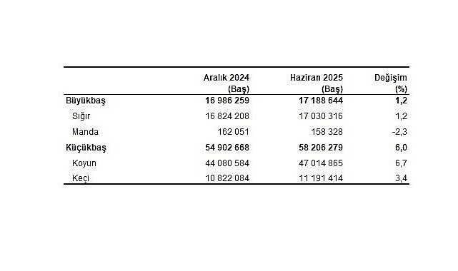 Hayvancılık İstatistikleri, Haziran 2025
