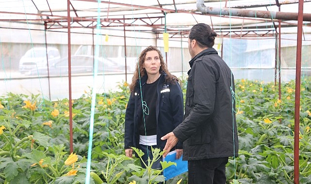 Büyükşehir’den hortum ve fırtınadan zarar gören üreticiye sera naylonu desteği