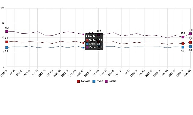İşgücü İstatistikleri, Eylül 2026